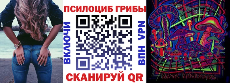 KRAKEN как войти  где можно купить   Нурлат  Псилоцибиновые грибы мухоморы 